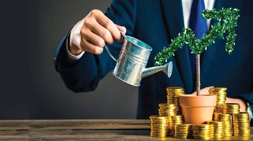 money wealth tree