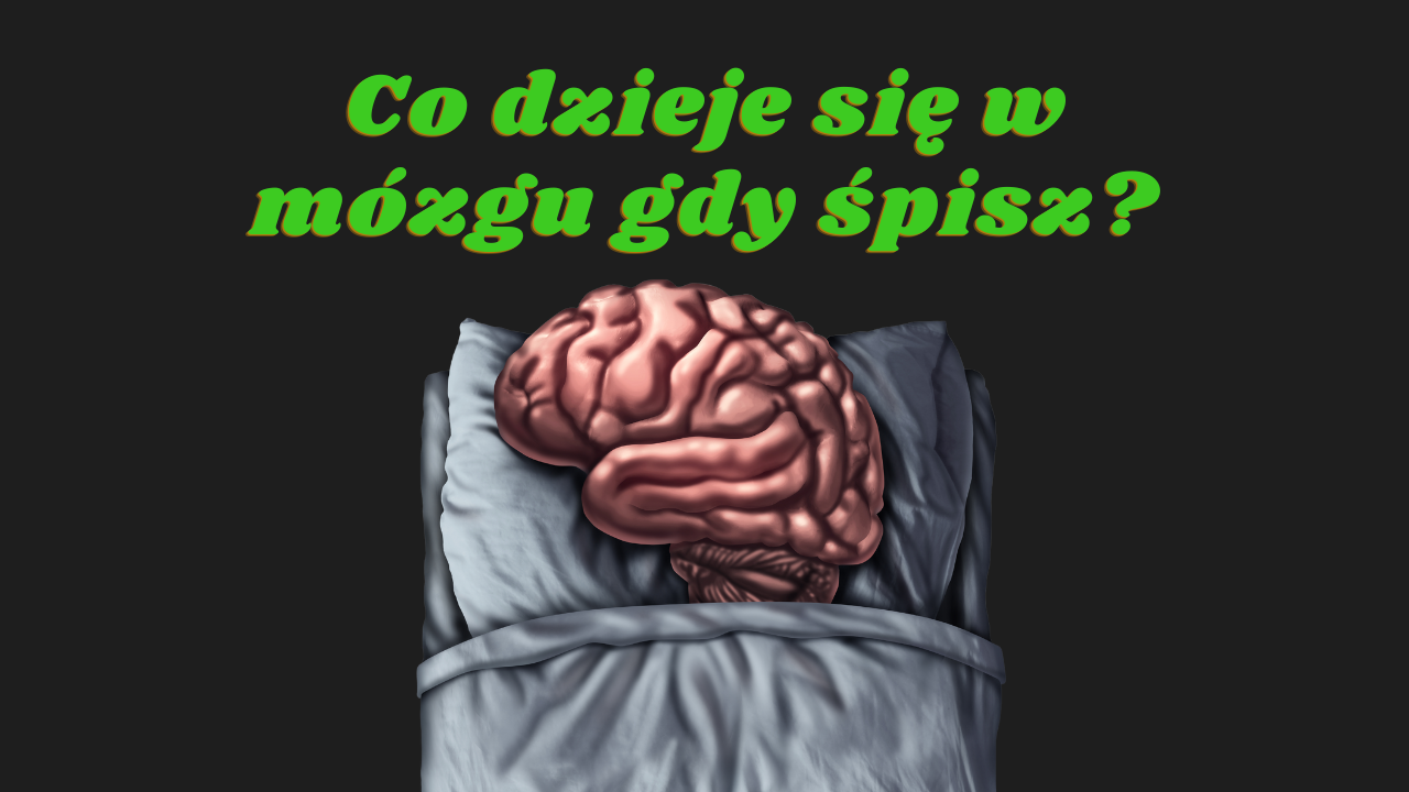 Sen a inteligencja miniaturka